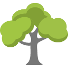 Pewaukee Tree Removal Service