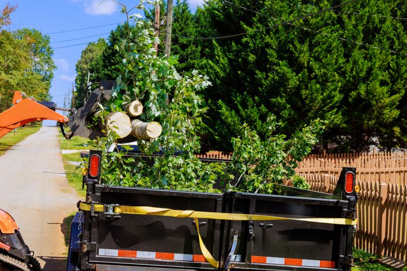 Top Rated Tree Removal Products