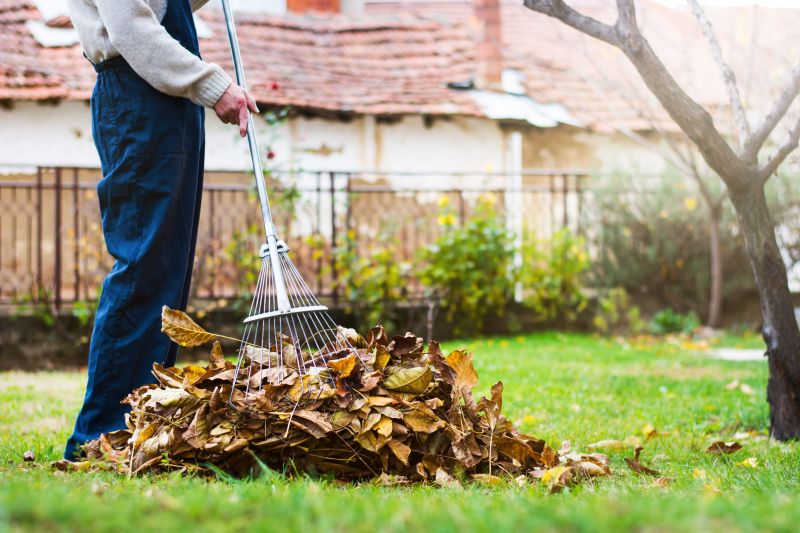 Final Leaf Clearing