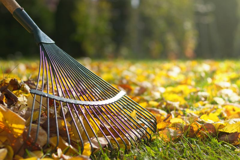Leaf Raking in Action