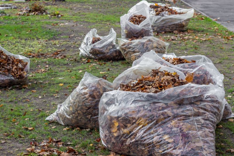 Leaf Collection Process