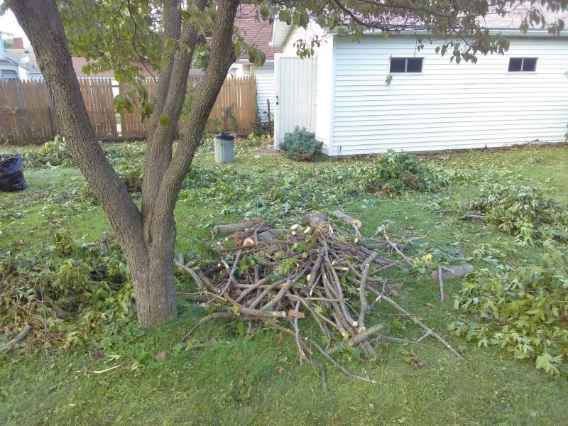 Yard Cleanup After Tree Fall