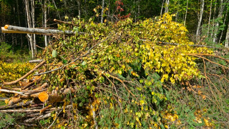 Common Pitfall to Avoid