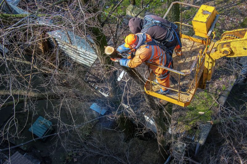 Tree Removal Safety Gear