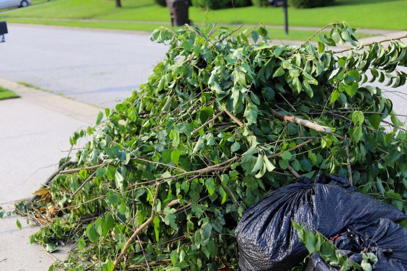 Post-Removal Landscaping